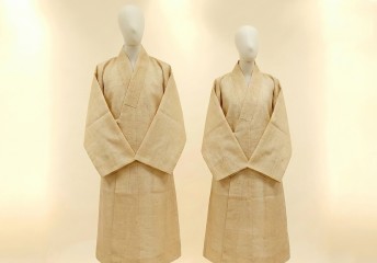 대마수의